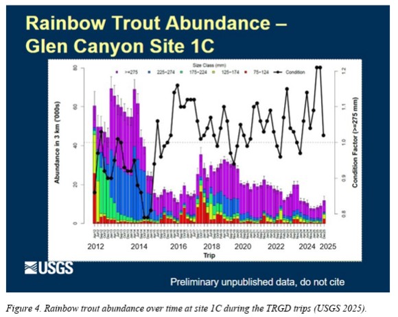 Figure 4. Rainbow trout abundance over time at site 1C during the TRGD trips (USGS 2025).