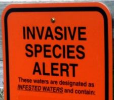Invasive Species-PIC.jpg