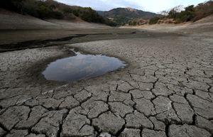 PIC- Drought- Lake going dry- 2014.jpg