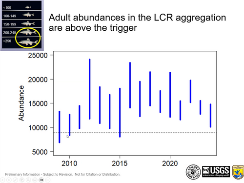 Hbc 2024lcr.png
