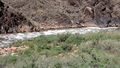 P7210005.jpg