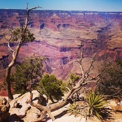 PIC- Grand Canyon DOI Instagram 140605-III.jpg