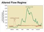 Altered Flow Regime- USGS.jpg