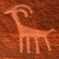 Petroglyph.jpg
