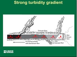 Strong turbidity gradient Slide 15.jpg