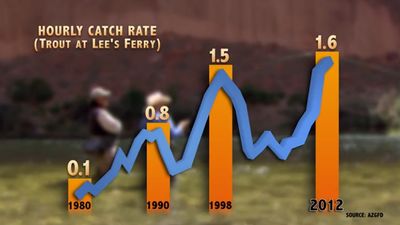 Hourly Catch Rate- Lees Ferry- GRAPH.jpg