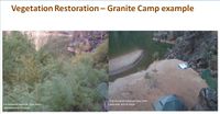 Invasive Tamarisk Removal- Granite Camp- PIC.jpg