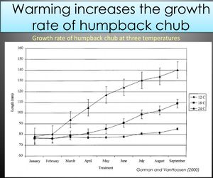DIAGRAM- Warming increases the growth rate of HBC.jpg