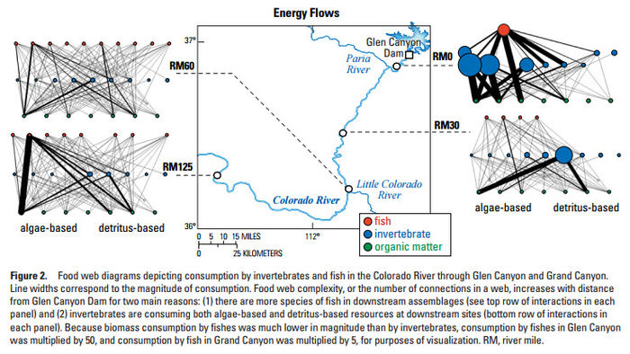 Foodbase energy flows1.jpg