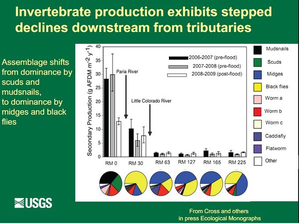 Invertebrate production exhibits stepped declines downstrea from tributaries Slide 23.jpg