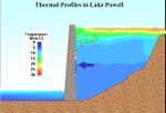 Thermal Profiles in Lake Powell- Graph.jpg