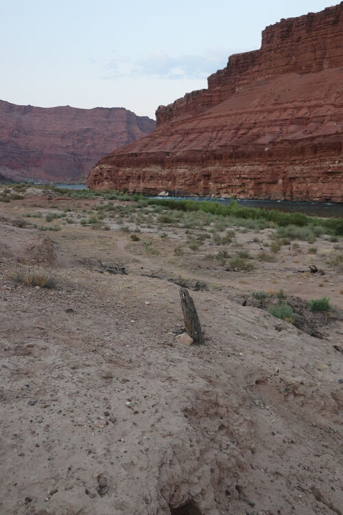 IMG 4472.JPG