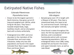 Extirpated Native Fishes.jpg