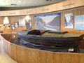 GCD Visitors Center -Raft Display II-PIC.JPG