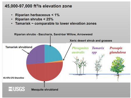DIAGRAM- Vegetation comp by elevation-II- USGS.jpg