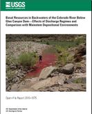 USGS Basal Resources in backwater of the CR 2010-1075.jpg