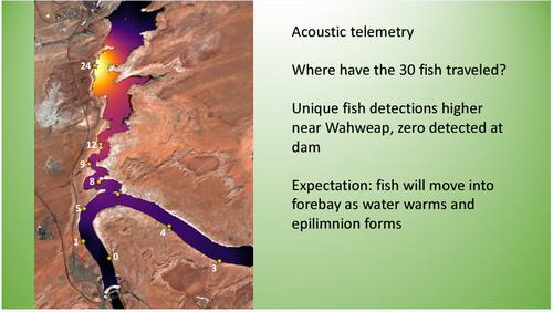 Forebay telemetry.png