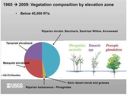 DIAGRAM- Vegetation comp by elevation- USGS.jpg