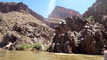 P7210003.jpg