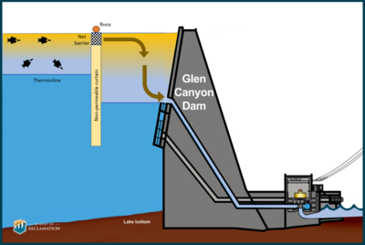 Thermal Curtain warmwater.png